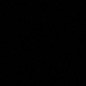 Meet your Posher, Deasia